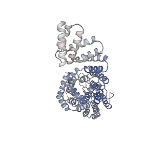 15199_8a5y_D_v1-2
S. cerevisiae apo unphosphorylated APC/C.