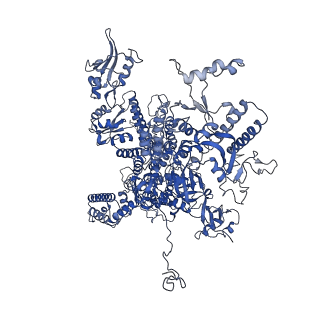 11673_7a6h_A_v1-2
Cryo-EM structure of human apo RNA Polymerase III