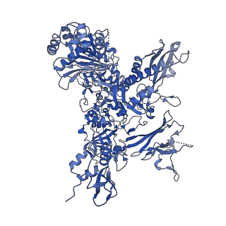 11673_7a6h_B_v1-2
Cryo-EM structure of human apo RNA Polymerase III
