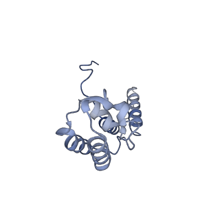11673_7a6h_D_v1-2
Cryo-EM structure of human apo RNA Polymerase III