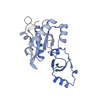 11673_7a6h_E_v1-2
Cryo-EM structure of human apo RNA Polymerase III