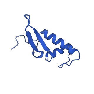 11673_7a6h_F_v1-2
Cryo-EM structure of human apo RNA Polymerase III
