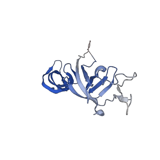11673_7a6h_G_v1-2
Cryo-EM structure of human apo RNA Polymerase III