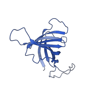 11673_7a6h_H_v1-2
Cryo-EM structure of human apo RNA Polymerase III