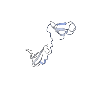11673_7a6h_I_v1-2
Cryo-EM structure of human apo RNA Polymerase III
