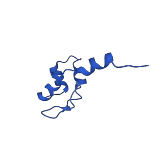 11673_7a6h_J_v1-2
Cryo-EM structure of human apo RNA Polymerase III