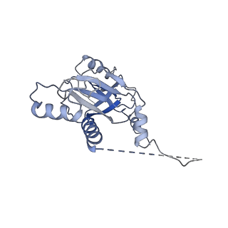 11673_7a6h_M_v1-2
Cryo-EM structure of human apo RNA Polymerase III