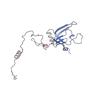 11673_7a6h_N_v1-2
Cryo-EM structure of human apo RNA Polymerase III