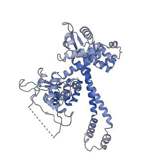 11673_7a6h_O_v1-2
Cryo-EM structure of human apo RNA Polymerase III