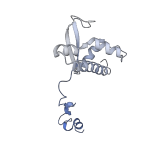 11673_7a6h_P_v1-2
Cryo-EM structure of human apo RNA Polymerase III