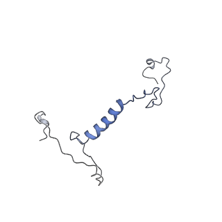 11673_7a6h_Q_v1-2
Cryo-EM structure of human apo RNA Polymerase III