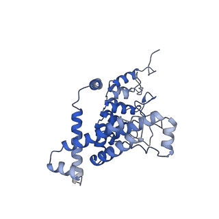 11674_7a6u_A_v1-0
Cryo-EM structure of the cytoplasmic domain of human TRPC6