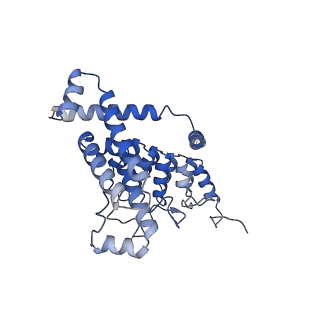 11674_7a6u_B_v1-0
Cryo-EM structure of the cytoplasmic domain of human TRPC6