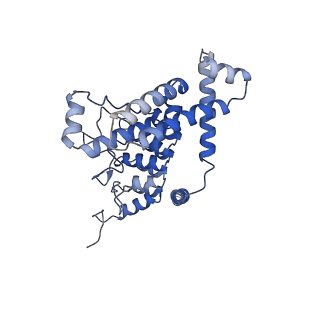11674_7a6u_C_v1-0
Cryo-EM structure of the cytoplasmic domain of human TRPC6