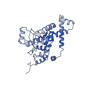 11674_7a6u_C_v2-0
Cryo-EM structure of the cytoplasmic domain of human TRPC6