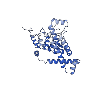 11674_7a6u_D_v1-0
Cryo-EM structure of the cytoplasmic domain of human TRPC6