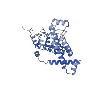11674_7a6u_D_v2-0
Cryo-EM structure of the cytoplasmic domain of human TRPC6