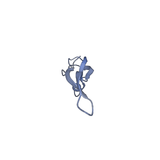 15204_8a63_1_v1-2
Cryo-EM structure of Listeria monocytogenes 50S ribosomal subunit.
