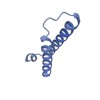 15204_8a63_2_v1-2
Cryo-EM structure of Listeria monocytogenes 50S ribosomal subunit.