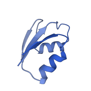 15204_8a63_3_v1-2
Cryo-EM structure of Listeria monocytogenes 50S ribosomal subunit.