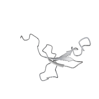 15204_8a63_4_v1-2
Cryo-EM structure of Listeria monocytogenes 50S ribosomal subunit.