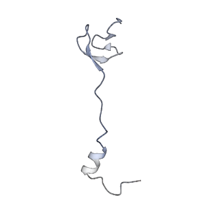 15204_8a63_5_v1-2
Cryo-EM structure of Listeria monocytogenes 50S ribosomal subunit.