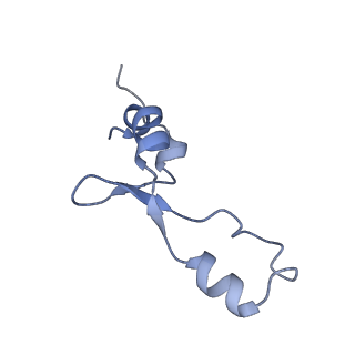 15204_8a63_8_v1-2
Cryo-EM structure of Listeria monocytogenes 50S ribosomal subunit.