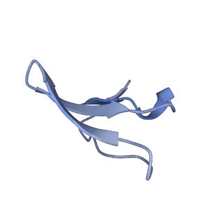 15204_8a63_9_v1-2
Cryo-EM structure of Listeria monocytogenes 50S ribosomal subunit.