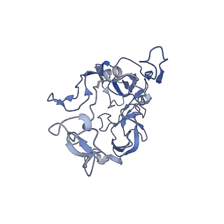 15204_8a63_G_v1-2
Cryo-EM structure of Listeria monocytogenes 50S ribosomal subunit.