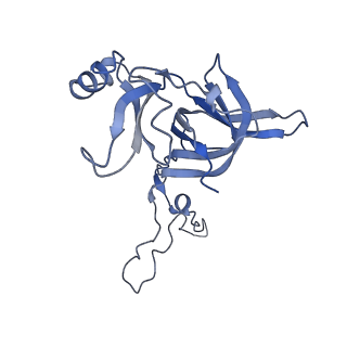 15204_8a63_H_v1-2
Cryo-EM structure of Listeria monocytogenes 50S ribosomal subunit.