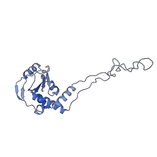 15204_8a63_I_v1-2
Cryo-EM structure of Listeria monocytogenes 50S ribosomal subunit.