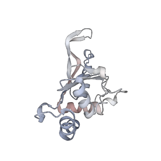 15204_8a63_J_v1-2
Cryo-EM structure of Listeria monocytogenes 50S ribosomal subunit.