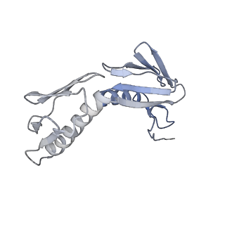 15204_8a63_K_v1-2
Cryo-EM structure of Listeria monocytogenes 50S ribosomal subunit.