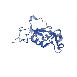 15204_8a63_M_v1-2
Cryo-EM structure of Listeria monocytogenes 50S ribosomal subunit.