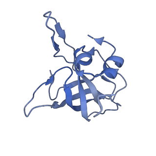 15204_8a63_N_v1-2
Cryo-EM structure of Listeria monocytogenes 50S ribosomal subunit.