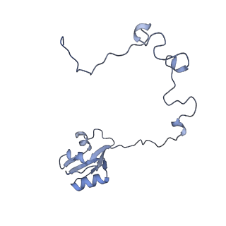 15204_8a63_O_v1-2
Cryo-EM structure of Listeria monocytogenes 50S ribosomal subunit.