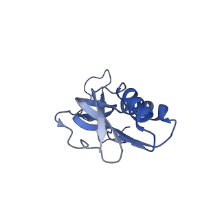 15204_8a63_P_v1-2
Cryo-EM structure of Listeria monocytogenes 50S ribosomal subunit.
