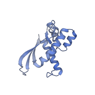 15204_8a63_Q_v1-2
Cryo-EM structure of Listeria monocytogenes 50S ribosomal subunit.