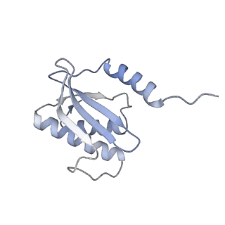 15204_8a63_R_v1-2
Cryo-EM structure of Listeria monocytogenes 50S ribosomal subunit.