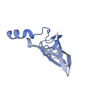 15204_8a63_S_v1-2
Cryo-EM structure of Listeria monocytogenes 50S ribosomal subunit.