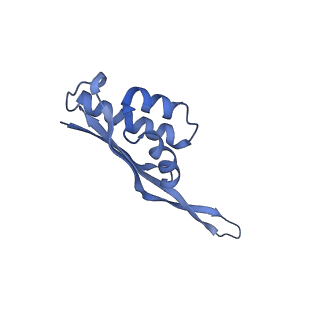 15204_8a63_V_v1-2
Cryo-EM structure of Listeria monocytogenes 50S ribosomal subunit.