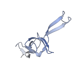 15204_8a63_X_v1-2
Cryo-EM structure of Listeria monocytogenes 50S ribosomal subunit.