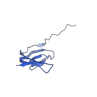 15204_8a63_Z_v1-2
Cryo-EM structure of Listeria monocytogenes 50S ribosomal subunit.
