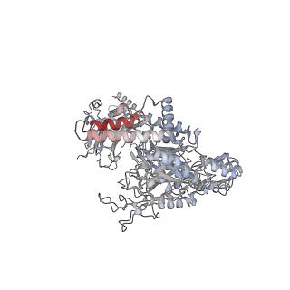 15205_8a64_A_v1-2
cryoEM structure of the catalytically inactive EndoS from S. pyogenes in complex with the Fc region of immunoglobulin G1.