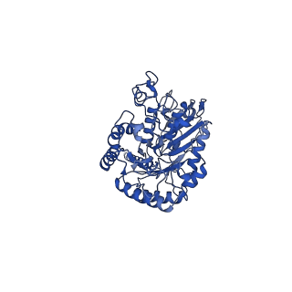 15210_8a6l_A_v1-0
Human 4F2hc-LAT2 heterodimeric amino acid transporter in complex with anticalin D11vs