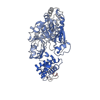 15212_8a6t_B_v1-2
Cryo-EM structure of the electron bifurcating Fe-Fe hydrogenase HydABC complex from Thermoanaerobacter kivui in the reduced state