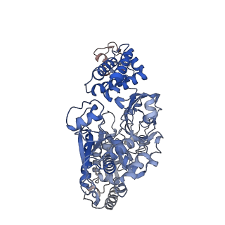 15212_8a6t_E_v1-2
Cryo-EM structure of the electron bifurcating Fe-Fe hydrogenase HydABC complex from Thermoanaerobacter kivui in the reduced state