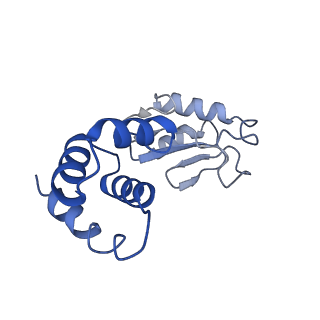 15212_8a6t_F_v1-2
Cryo-EM structure of the electron bifurcating Fe-Fe hydrogenase HydABC complex from Thermoanaerobacter kivui in the reduced state