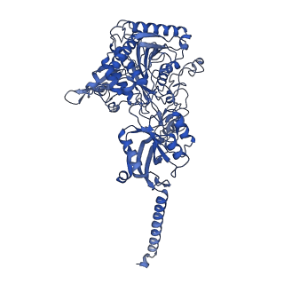 3061_5a63_A_v1-6
Cryo-EM structure of the human gamma-secretase complex at 3.4 angstrom resolution.