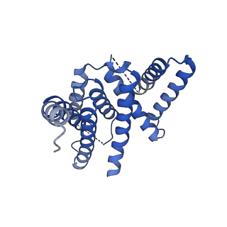 3061_5a63_B_v1-6
Cryo-EM structure of the human gamma-secretase complex at 3.4 angstrom resolution.